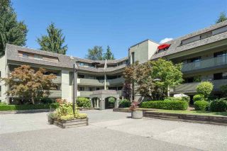 Photo 26: 401 1210 PACIFIC Street in Coquitlam: North Coquitlam Condo for sale in "Glenview Manor" : MLS®# R2500348