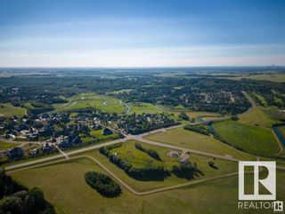 Photo 34: 54418 RGE RD 251: Rural Sturgeon County Vacant Lot/Land for sale : MLS®# E4392671