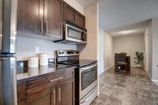 Photo 18: 4403 403 Mackenzie Way SW: Airdrie Apartment for sale : MLS®# A1254338