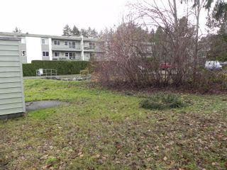 Photo 5: 210 Back Rd in Courtenay: CV Courtenay East House for sale (Comox Valley)  : MLS®# 860950