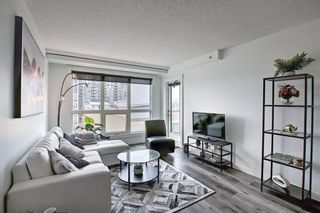 Photo 16: 1017 8880 Horton Road SW in Calgary: Haysboro Apartment for sale : MLS®# A1223060