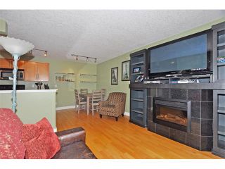 Photo 5: 302 333 5 Avenue NE in Calgary: Crescent Heights Condo for sale : MLS®# C4024075