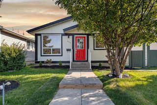 Main Photo: 184 Dovely Crescent SE in Calgary: Dover Detached for sale : MLS®# A1253908