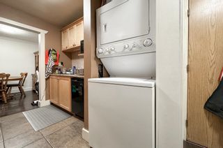 Photo 21: 507 9890 MANCHESTER Drive in Burnaby: Cariboo Condo for sale (Burnaby North)  : MLS®# R2823532