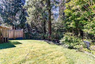 Photo 28: 1921 PARKSIDE Lane in North Vancouver: Deep Cove House for sale : MLS®# R2566576
