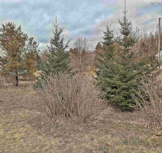 Photo 5: Lot 3 Pleasant Street in Wolfville: Kings County Vacant Land for sale (Annapolis Valley)  : MLS®# 202405717