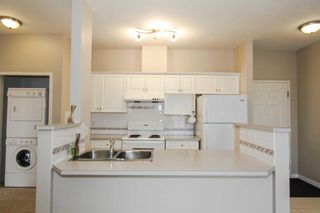 Photo 9: 302 1905 Centre Street NW in Calgary: Tuxedo Park Apartment for sale : MLS®# A2125282