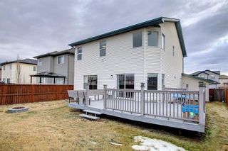 Photo 48: 268 WEST CREEK Drive: Chestermere Detached for sale : MLS®# A1180518