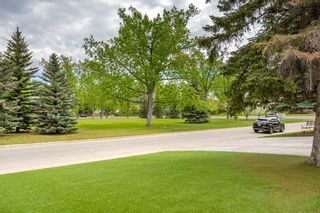 Photo 33: 10919 Willowglen Place SE in Calgary: Willow Park Detached for sale : MLS®# A1225263
