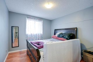 Photo 15: 3053 29A Street SE in Calgary: Dover Detached for sale : MLS®# A2042265