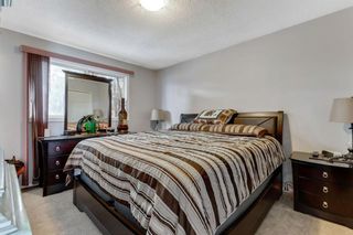 Photo 17: 444 Whiteland Drive NE in Calgary: Whitehorn Detached for sale : MLS®# A1076099