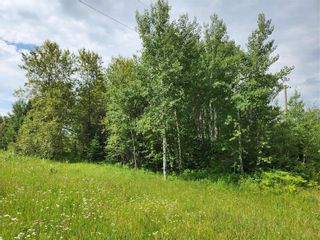 Photo 5: 4 Whitetail Lane in Sprague: Vacant Land for sale : MLS®# 202319300