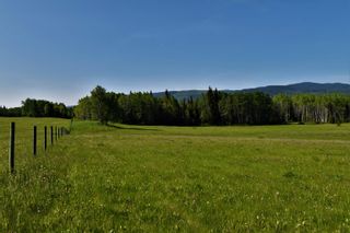 Photo 32: BOURGON ROAD in Smithers: Telkwa - Rural Land for sale (Smithers And Area)  : MLS®# R2700048