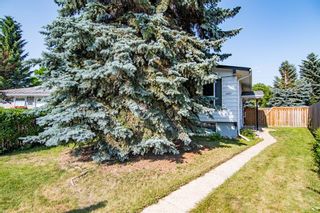 Main Photo: 5931 61 Avenue: Red Deer Detached for sale : MLS®# A2028658