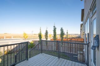 Photo 35: 167 Evanscrest Way NW in Calgary: Evanston Detached for sale : MLS®# A2003359