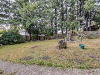 Photo 33: 33543 CHERRY Avenue in Mission: Mission BC House for sale : MLS®# R2733965