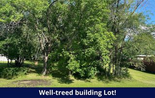 Photo 1: 53 Maple Avenue in Grunthal: Vacant Land for sale : MLS®# 202220162