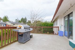 Photo 34: 4389 Columbia Dr in VICTORIA: SE Gordon Head House for sale (Saanich East)  : MLS®# 813897