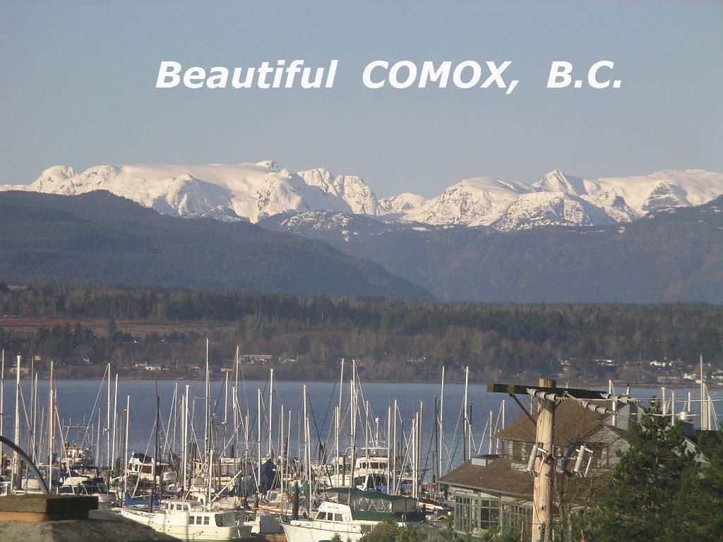 Main Photo: #308  1695 Comox Ave., in Comox: Condo for sale (FVREB Out of Town)  : MLS®# 284902