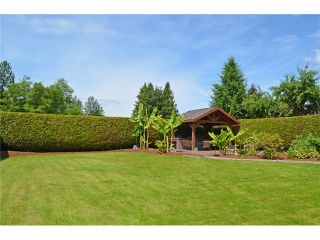 Photo 18: 11929 248TH Street in Maple Ridge: Cottonwood MR House for sale in "COTTONWOOD" : MLS®# V1072673