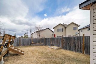 Photo 48: 145 Royal Birch Crescent NW in Calgary: Royal Oak Detached for sale : MLS®# A1205184