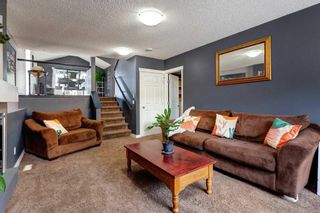 Photo 18: 343 Copperfield Heights SE in Calgary: Copperfield Detached for sale : MLS®# A2067320