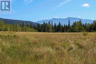 Photo 28: 2524 Enderby Mabel Lake Road in Enderby: Vacant Land for sale : MLS®# 10310628