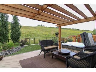 Photo 33: 100 CHAPARRAL VALLEY Terrace SE in Calgary: Chaparral House for sale : MLS®# C4086048