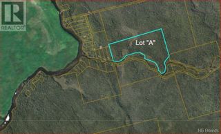 Photo 2: Lot A Canoose Stream Road in Canoose: Vacant Land for sale : MLS®# NB090908