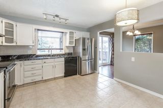 Photo 19: 172 Berkshire Close NW in Calgary: Beddington Heights Detached for sale : MLS®# A1092529