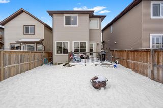 Photo 33: 29 Cranford Place SE in Calgary: Cranston Detached for sale : MLS®# A2029463
