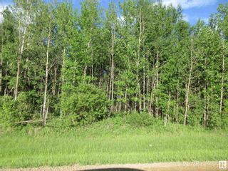 Photo 12: RR 223 Twp Rd 612: Rural Thorhild County Vacant Lot/Land for sale : MLS®# E4318874