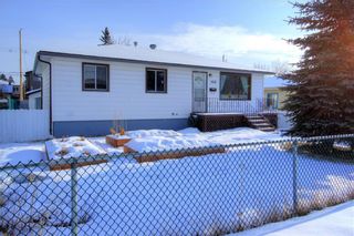 Photo 21: 4632 85 Street NW in Calgary: Bowness Detached for sale : MLS®# C4281221