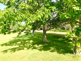 Photo 22: 1031 Baxters Harbour Road in Canning: Kings County Residential for sale (Annapolis Valley)  : MLS®# 202213694