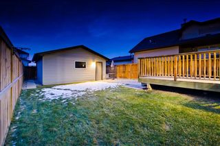 Photo 27: 169 SKYVIEW RANCH DR NE in Calgary: Skyview Ranch House for sale : MLS®# C4278111