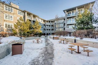 Photo 24: 217 25 Auburn Meadows Avenue SE in Calgary: Auburn Bay Apartment for sale : MLS®# A2028572