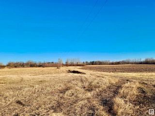 Photo 5: P/O SE 7-58-9-W4: Rural St. Paul County Vacant Lot/Land for sale : MLS®# E4354270