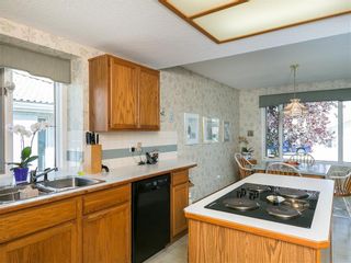 Photo 19: 33 PUMP HILL Landing SW in Calgary: Pump Hill House for sale : MLS®# C4133029