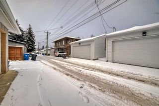 Photo 47: 2046 41 Avenue SW in Calgary: Altadore Detached for sale : MLS®# A2104894