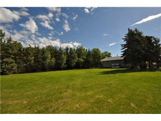 Photo 14: 243017 Range Road 240: Rural Wheatland County Residential Detached Single Family for sale : MLS®# C3624413