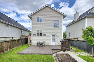 Photo 40: 47 INVERNESS Grove SE in Calgary: McKenzie Towne Detached for sale : MLS®# C4301288