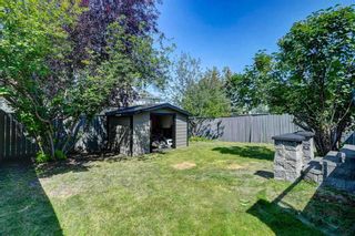 Photo 37: 16 Bridlewood Road SW in Calgary: Bridlewood Detached for sale : MLS®# A2070363