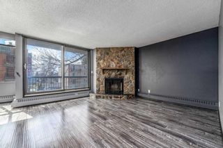 Photo 4: 302 345 4 Avenue NE in Calgary: Crescent Heights Apartment for sale : MLS®# A2131017