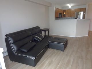 Photo 10: 4322 4975 130 Avenue SE in Calgary: McKenzie Towne Apartment for sale : MLS®# C4210217
