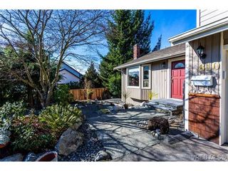 Photo 18: 810 Cameo St in VICTORIA: SE High Quadra House for sale (Saanich East)  : MLS®# 723389
