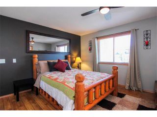 Photo 23: 390 ELGIN Way SE in Calgary: McKenzie Towne House for sale : MLS®# C4019083
