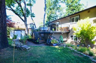 Photo 4: 3640 Blenkinsop Rd in Saanich: SE Maplewood House for sale (Saanich East)  : MLS®# 879297