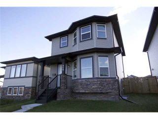 Photo 20: 449 LUXSTONE Place SW: Airdrie Residential Detached Single Family for sale : MLS®# C3542456