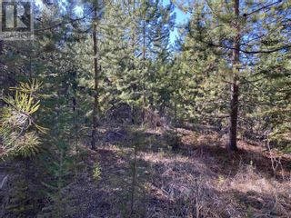 Photo 21: Lot B LONE BUTTE HORSE LAKE ROAD in 100 Mile House: Vacant Land for sale : MLS®# R2870362