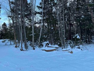 Photo 2: Lot 7-8 Logan Road in Frasers Mountain: 108-Rural Pictou County Vacant Land for sale (Northern Region)  : MLS®# 202400864